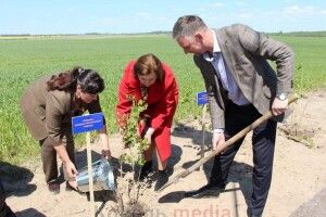 На Ковельщині про загиблих захисників нагадуватиме червона калина