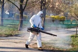 У нацпарку на Волині проведуть обробку проти кліщів