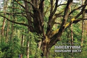 У Луцьку презентують книгу «Маневиччина: маловідомі факти»