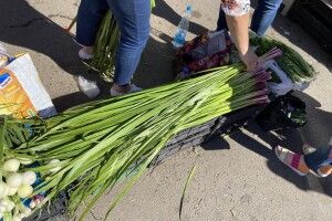 Чи будуть у Луцьку працювати ринки в день Трійці