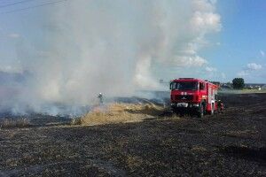 Біля Луцька згоріло 1,5 гектара пшениці. 140 гектарів врятували