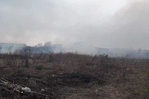 У Луцьку неподалік будинку з химерами палає очерет (фото)