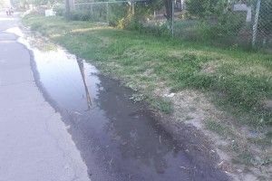 Лучанин зливав на проїжджу частину вулиці нечистоти