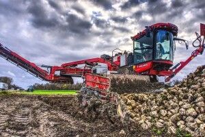 В Україні подорожчає цукор