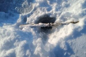 На водоймах Волині «накрили» любителів незаконної риболовлі