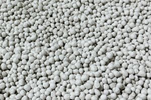 Захід та Північ під загрозою: чому ґрунти Полісся та Прикарпаття вимагають негайного вапнування