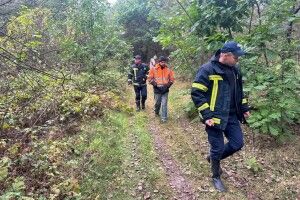 На Волині вже другу добу шукають зниклого в лісі грибника-пенсіонера