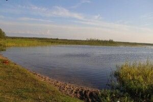 У Любешівському районі врятували рибалку, який ледве не втонув