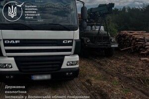 На Волині викрили вантажівку із незаконною деревиною 