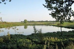 У Городищі територіальній громаді повернули землю та ставок