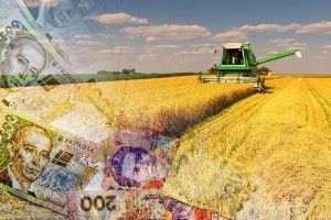 10 виробників забезпечують майже половину бюджетних надходжень від аграріїв Волині 