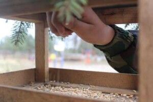 Волинські діти долучилися до збереження птахів