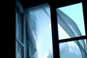 Рятувальники зняли з відкритого вікна 9-го поверху двох дітей