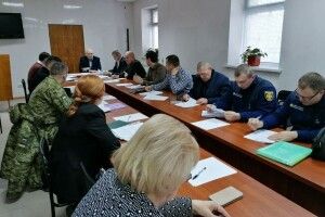 На Ковельщині оголосили карантин через африканську чуму свиней
