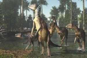 Викопував каміння, а знайшов...