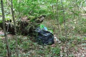 На веломаршруті в нацпарку на Волині хтось поскидав сміття