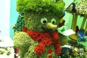 Нацпарк «Цуманська пуща» закликав волинян замість ялинок ставити дідухи та різдвяні «павуки»