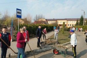 Масові толоки у громаді