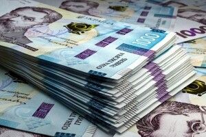 У січні скарбничка Нововолинська побільшала на 16% 