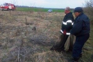 Бійцям ДСНС довелося рятувати трійко борсуків, які вирішили виміряти глибину криниці (фото)