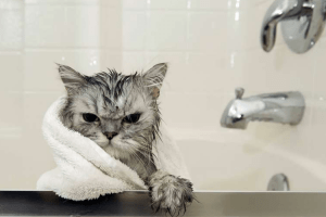 Коли у Луцьку «зникне» гаряча вода: затверджено графік відключень на 2026 рік