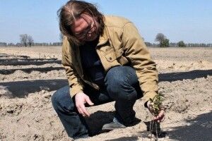 Фермер вирощує незвичну для України жимолость
