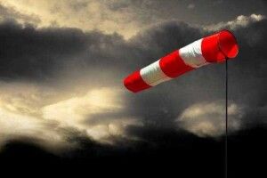 Дерево, яке впало, перекрило дорогу з Луцька на Рівне (Відео)