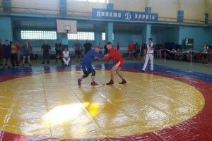 Спортсмени Волині вибороли бронзові медалі 