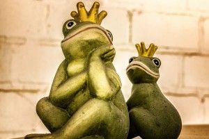 Чоловік через суд доводить, що він король на своїх семи сотках