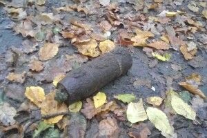 Небезпечні знахідки виявили волиняни під час збирання грибів та орання городу