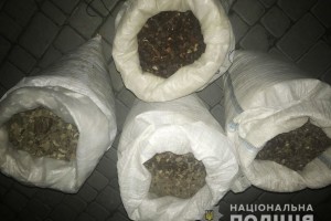 В «BMW» на євробляхах виявили понад 90 кілограмів бурштину-сирцю