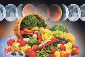 Місячний посівний календар на І півріччя 2019 року