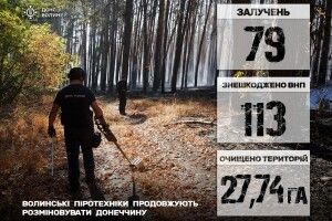 Волинські сапери на Донеччині знешкодили понад 100 вибухонебезпечних предметів 