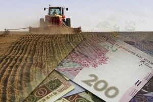 Уряд не змінив розподіл аграрних дотацій на 2019 рік