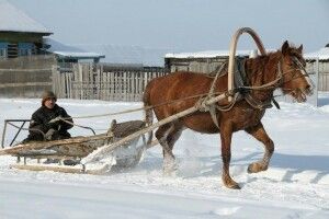 Патрульні закликали волинських водіїв готуватися до снігових переметів: назвали місця, де можна перечекати негоду в дорозі