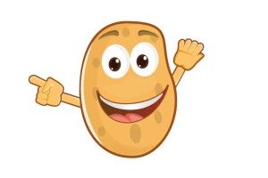Скільки бульб у кілограмі картоплі? У рівненського господаря – менше однієї (Фото)