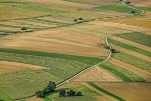 100 днів ринку землі: названо середню ціну гектара