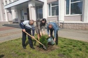 Селище на Волині активно озеленюють