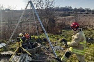 На Рівненщині з 20-метрового колодязя витягнули собаку (Фото)
