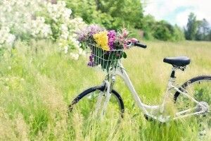 У серпні українці матимуть аж 10 вихідних