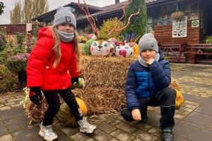 Гарбузове диво: як у Луцькому зоопарку смакує осінь