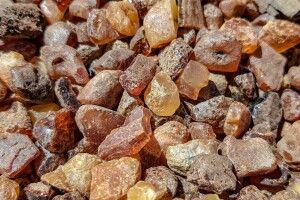 Родовище бурштину площею 44,6 га на Поліссі продали за 91 млн грн