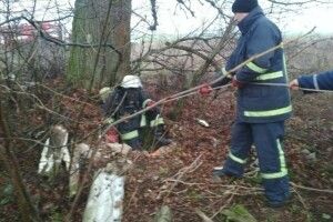 На Волині рятувальники витягли із колодязя собаку
