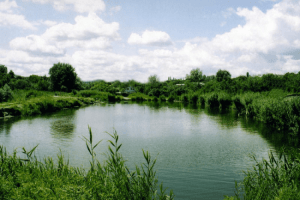 Волинянина покарали за незаконно викопаний ставок 