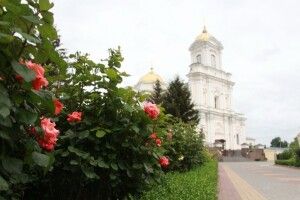 «Троянди собору» зацвітуть ще й на світлинах (Конкурс)
