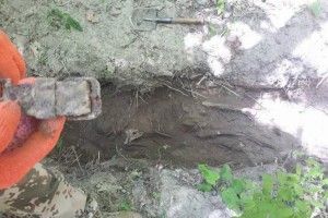 На Рівненщині знайшли рештки солдата