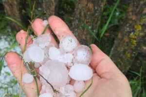 У районі на Волині потужний град вибив городину