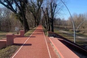 Луцькі муніципали вимагають поставити смітники на дамбі в парку