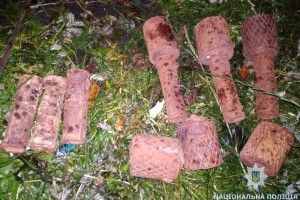 На Житомирщині чоловік підірвався на міні