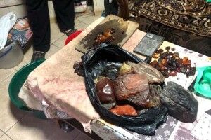 На Рівненщині поліцейські вилучили 15 кілограмів бурштину вартістю у майже шість тисяч доларів (Фото. Відео)